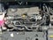 2025 Toyota Sienna LE 8 Passenger