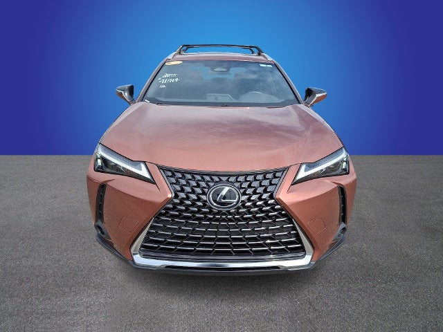 2025 Lexus UX UX 300h