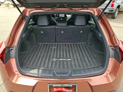 2025 Lexus UX UX 300h